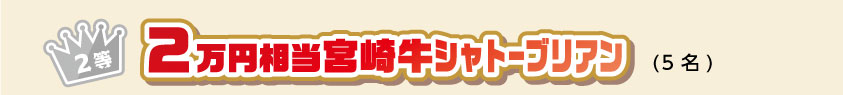 2等 2万円相当宮崎牛シャトーブリアン